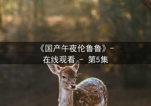 《国产午夜伦鲁鲁》- 在线观看 - 第5集