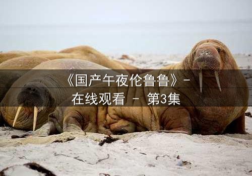 《国产午夜伦鲁鲁》- 在线观看 - 第3集