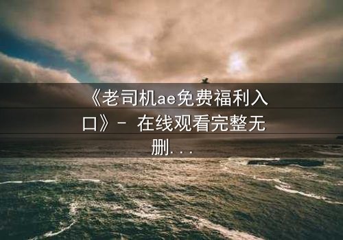 《老司机ae免费福利入口》- 在线观看完整无删 - 一场数字世界的生死博弈