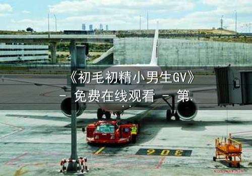 《初毛初精小男生GV》- 免费在线观看 - 第3集HD中字