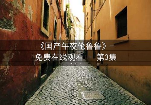 《国产午夜伦鲁鲁》- 免费在线观看 - 第3集HD中字