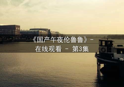 《国产午夜伦鲁鲁》- 在线观看 - 第3集