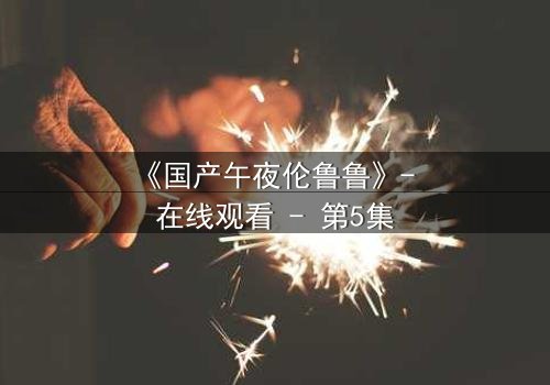 《国产午夜伦鲁鲁》- 在线观看 - 第5集