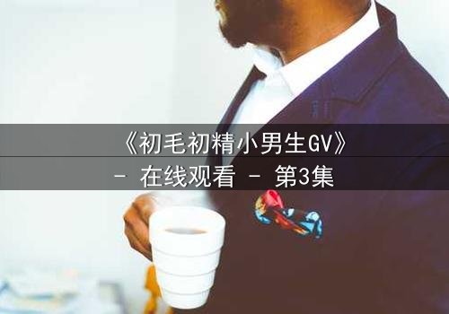 《初毛初精小男生GV》- 在线观看 - 第3集