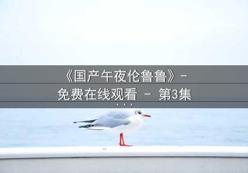 《国产午夜伦鲁鲁》- 免费在线观看 - 第3集HD中字