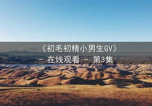 《初毛初精小男生GV》- 在线观看 - 第3集