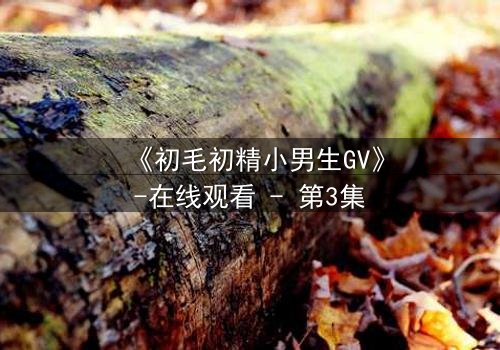 《初毛初精小男生GV》-在线观看 - 第3集