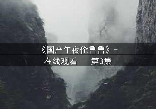 《国产午夜伦鲁鲁》- 在线观看 - 第3集