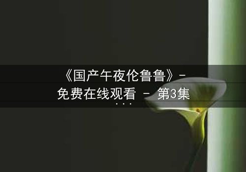 《国产午夜伦鲁鲁》- 免费在线观看 - 第3集HD中字