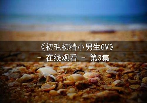 《初毛初精小男生GV》- 在线观看 - 第3集