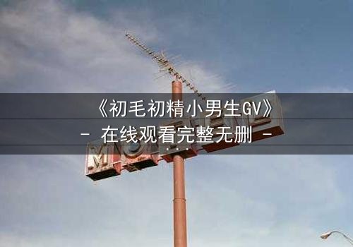 《初毛初精小男生GV》- 在线观看完整无删 - 青春禁忌的觉醒与挣扎