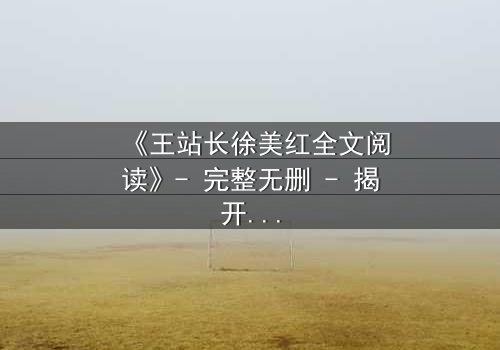 《王站长徐美红全文阅读》- 完整无删 - 揭开权力与爱情的终极博弈